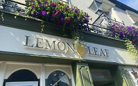 The Lemon Leaf Café Bar&Townhouse